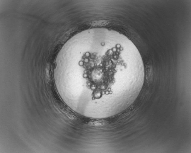 X0000076420655200611031815