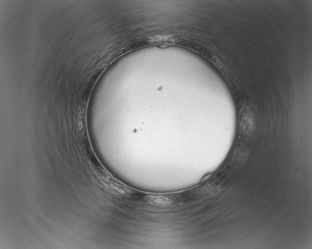 X0000076420658200611031815