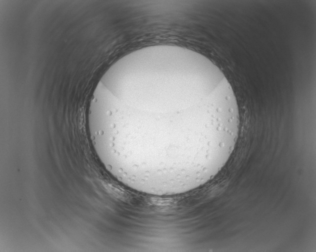 X0000076420659200611031815