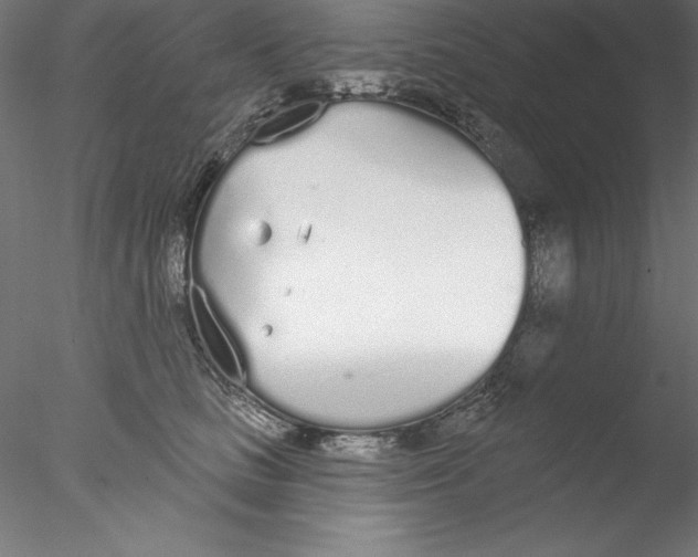 X0000076420661200611031815