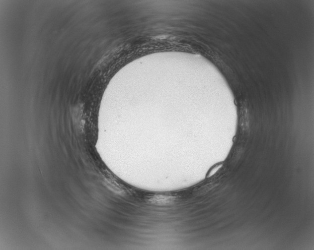 X0000076420664200611031815