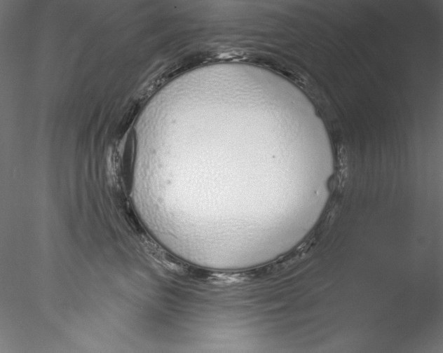 X0000076420667200611031815