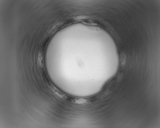 X0000076420669200611031815