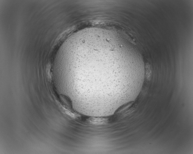 X0000076420670200611031815