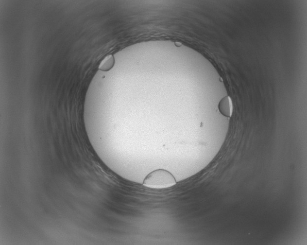 X0000076420672200611031815