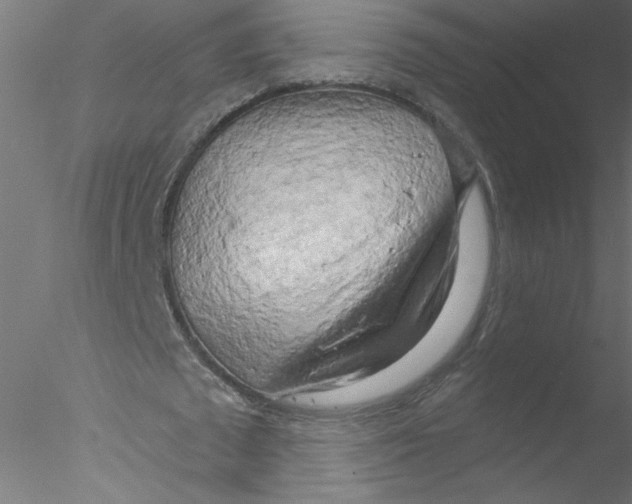 X0000076420673200611031814