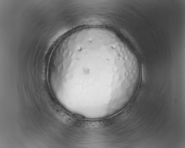 X0000076420675200611031814