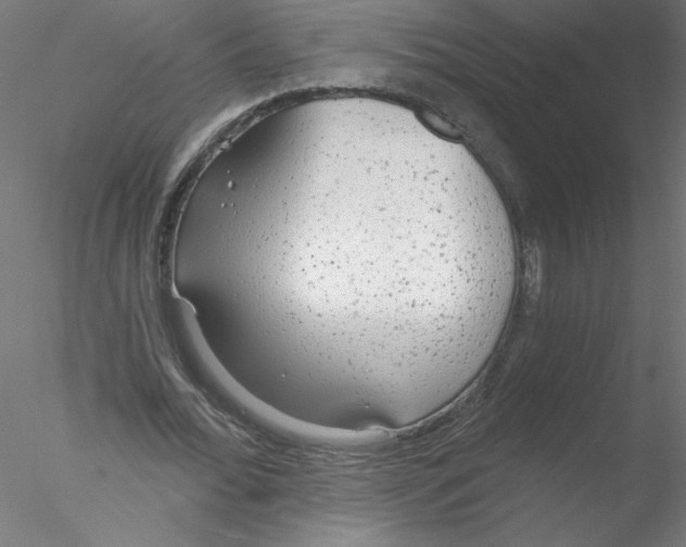 X0000076420676200611031814