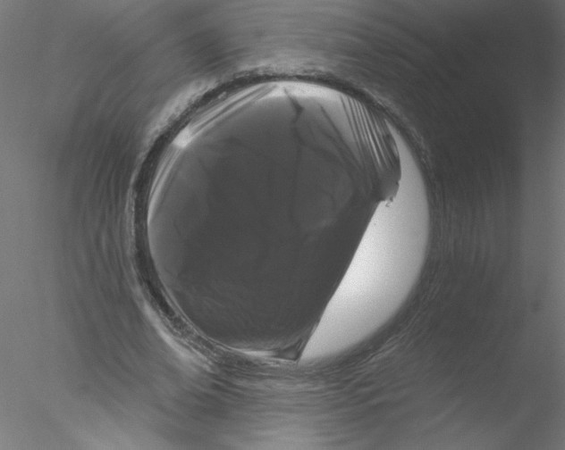 X0000076420678200611031814