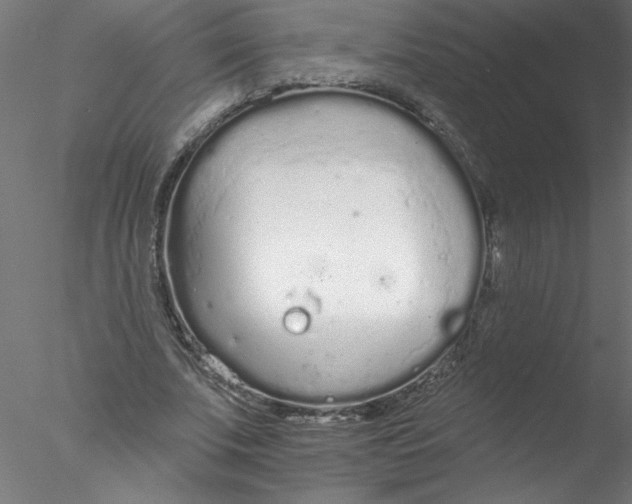 X0000076420679200611031814