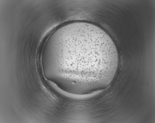 X0000076420680200611031814