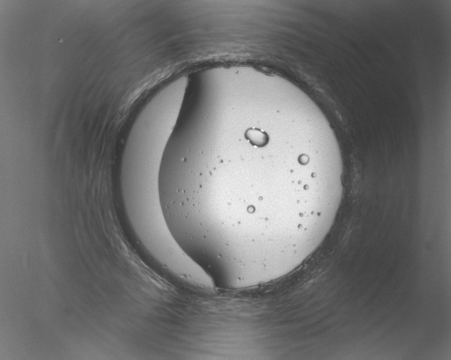 X0000076420681200611031814