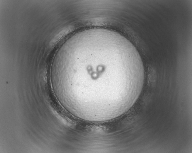 X0000076420683200611031814