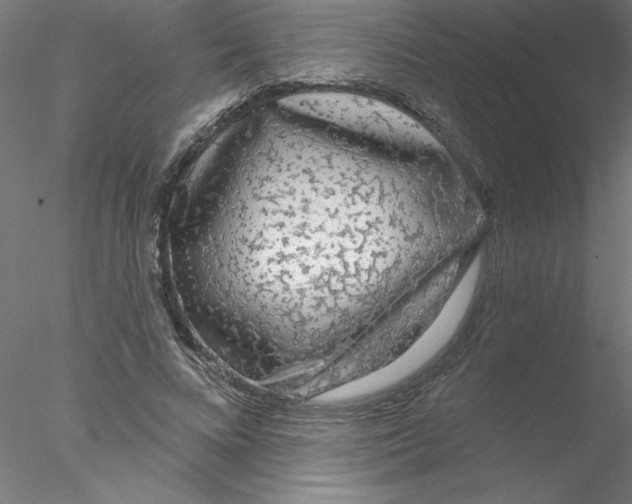 X0000076420688200611031814