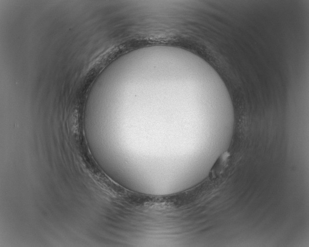 X0000076420689200611031814