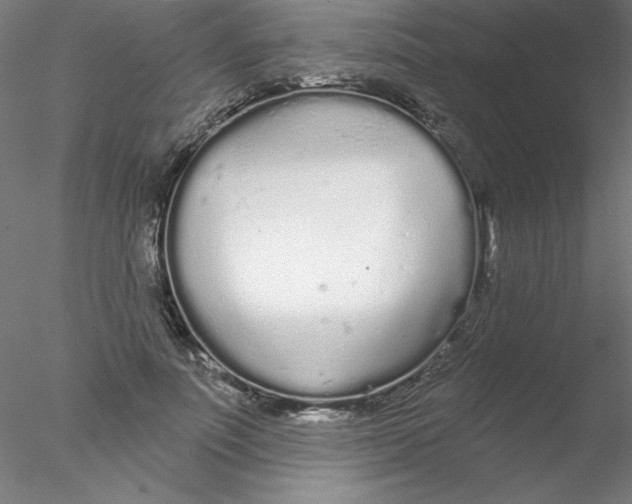 X0000076420691200611031814