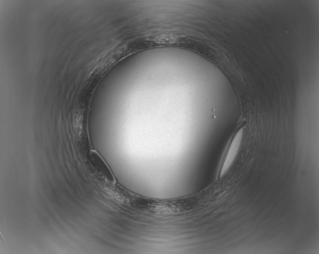 X0000076420697200611031814