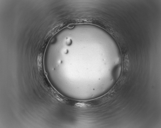 X0000076420699200611031814