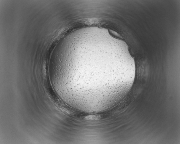 X0000076420700200611031814