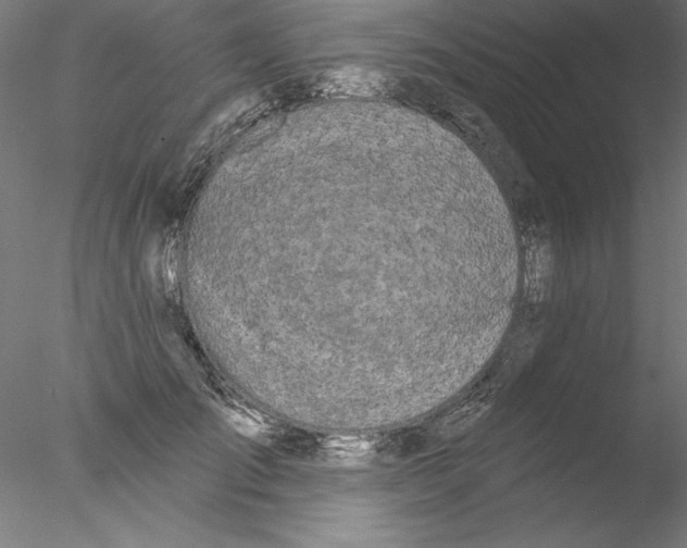 X0000076420701200611031814