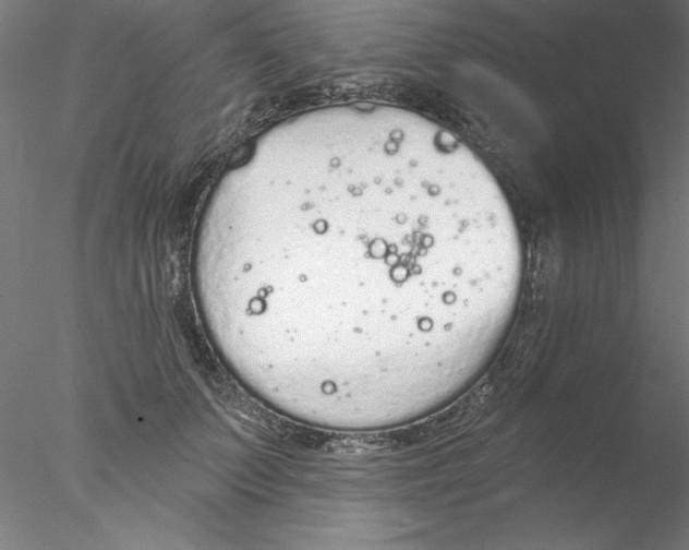 X0000076420703200611031814