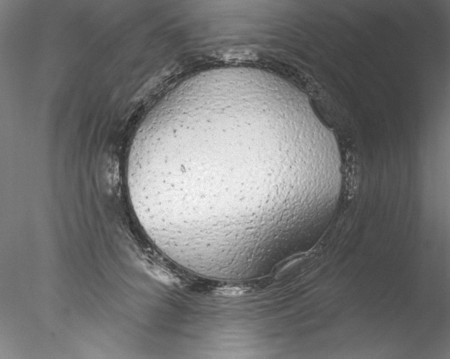 X0000076420704200611031814