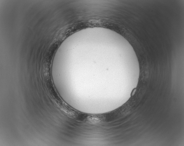 X0000076420706200611031814