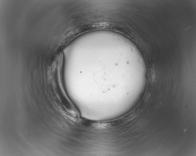 X0000076420711200611031813