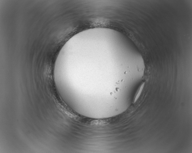 X0000076420714200611031813