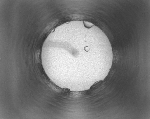 X0000076420717200611031813