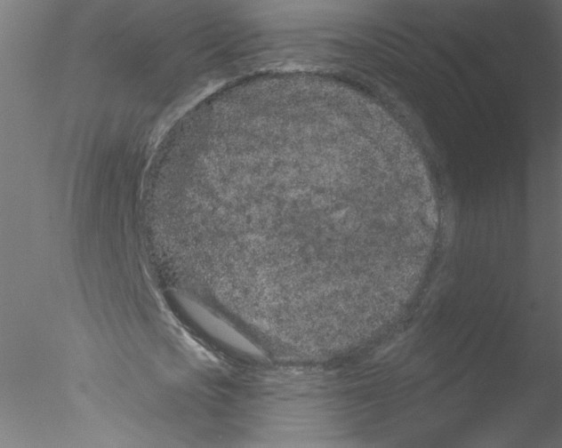 X0000076420721200611031812