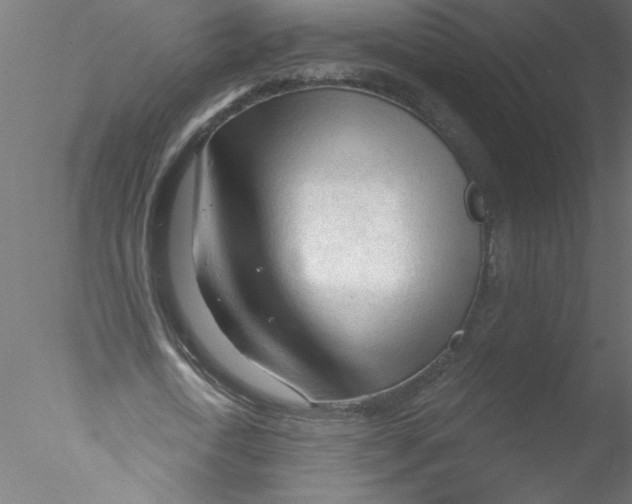 X0000076420722200611031812