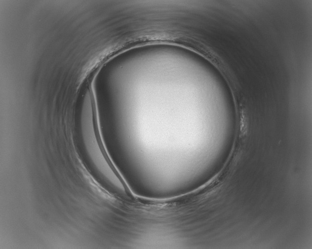 X0000076420725200611031813