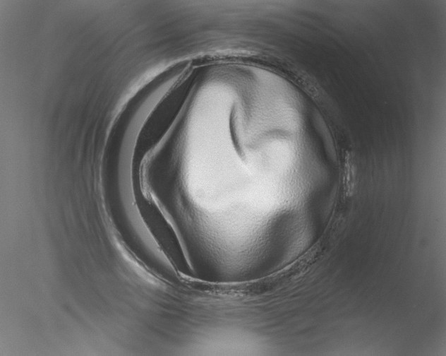 X0000076420726200611031813