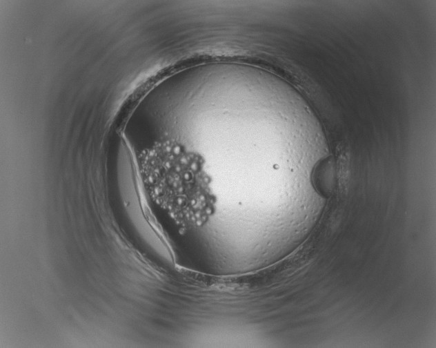 X0000076420727200611031813