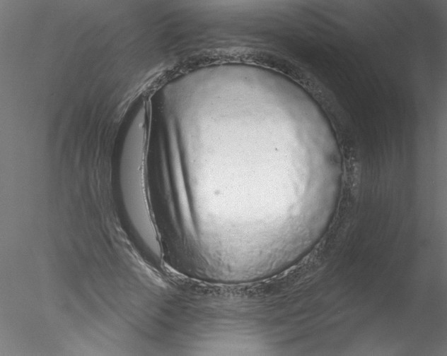 X0000076420729200611031813