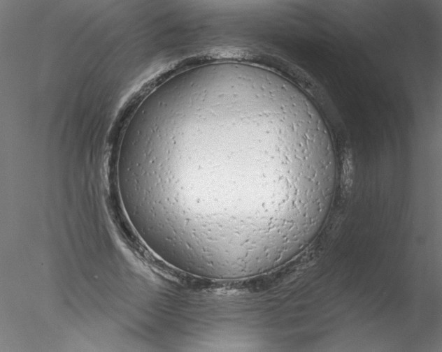 X0000076420730200611031813