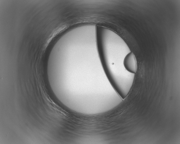 X0000076420731200611031813