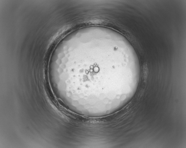 X0000076420734200611031813