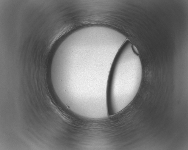 X0000076420735200611031813