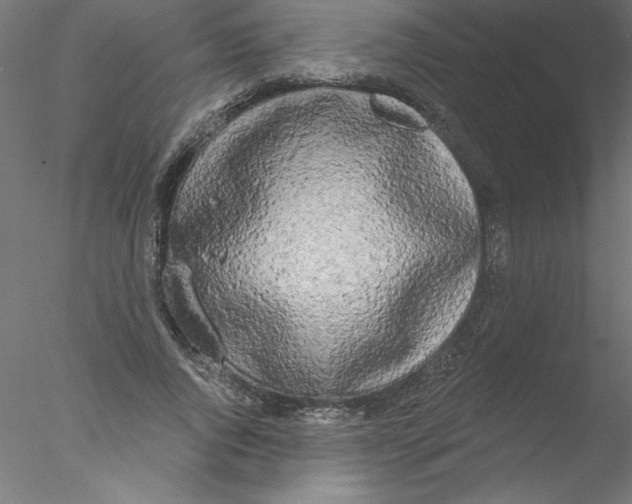 X0000076420736200611031813