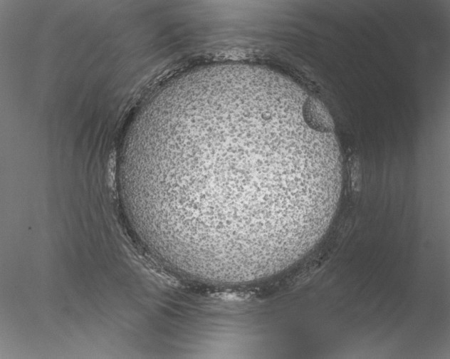 X0000076420737200611031813