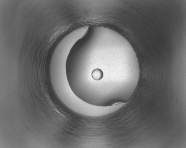 X0000076420740200611031813