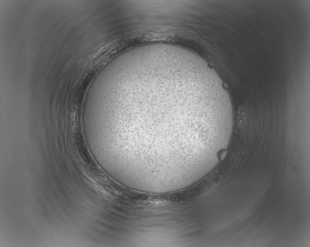 X0000076420741200611031813