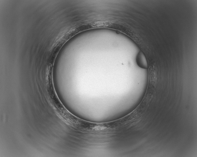 X0000076420742200611031813