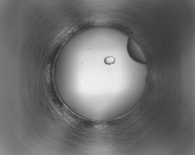 X0000076420744200611031813