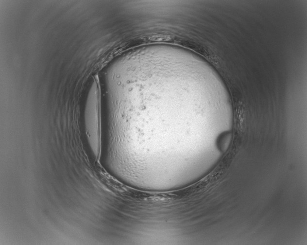 X0000076420745200611031813