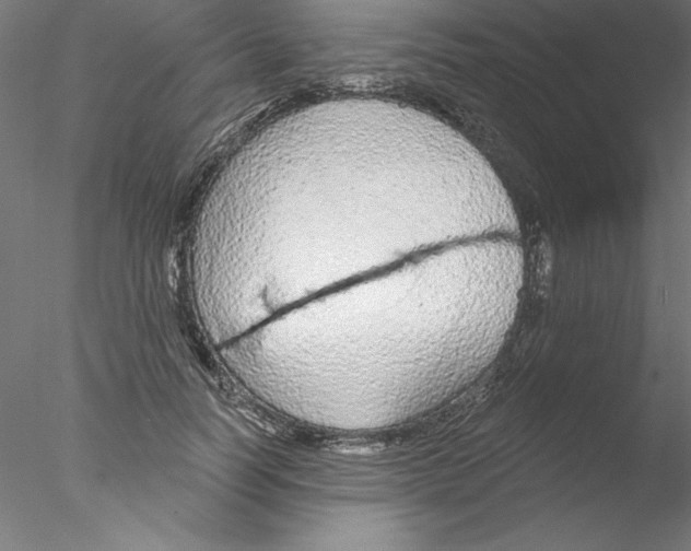 X0000076420746200611031813