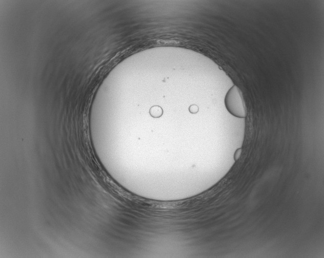 X0000076420747200611031813