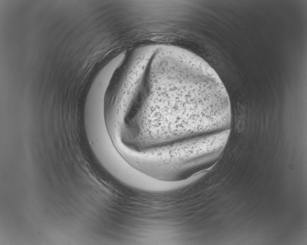 X0000076420748200611031813